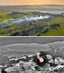 Forest fire1B