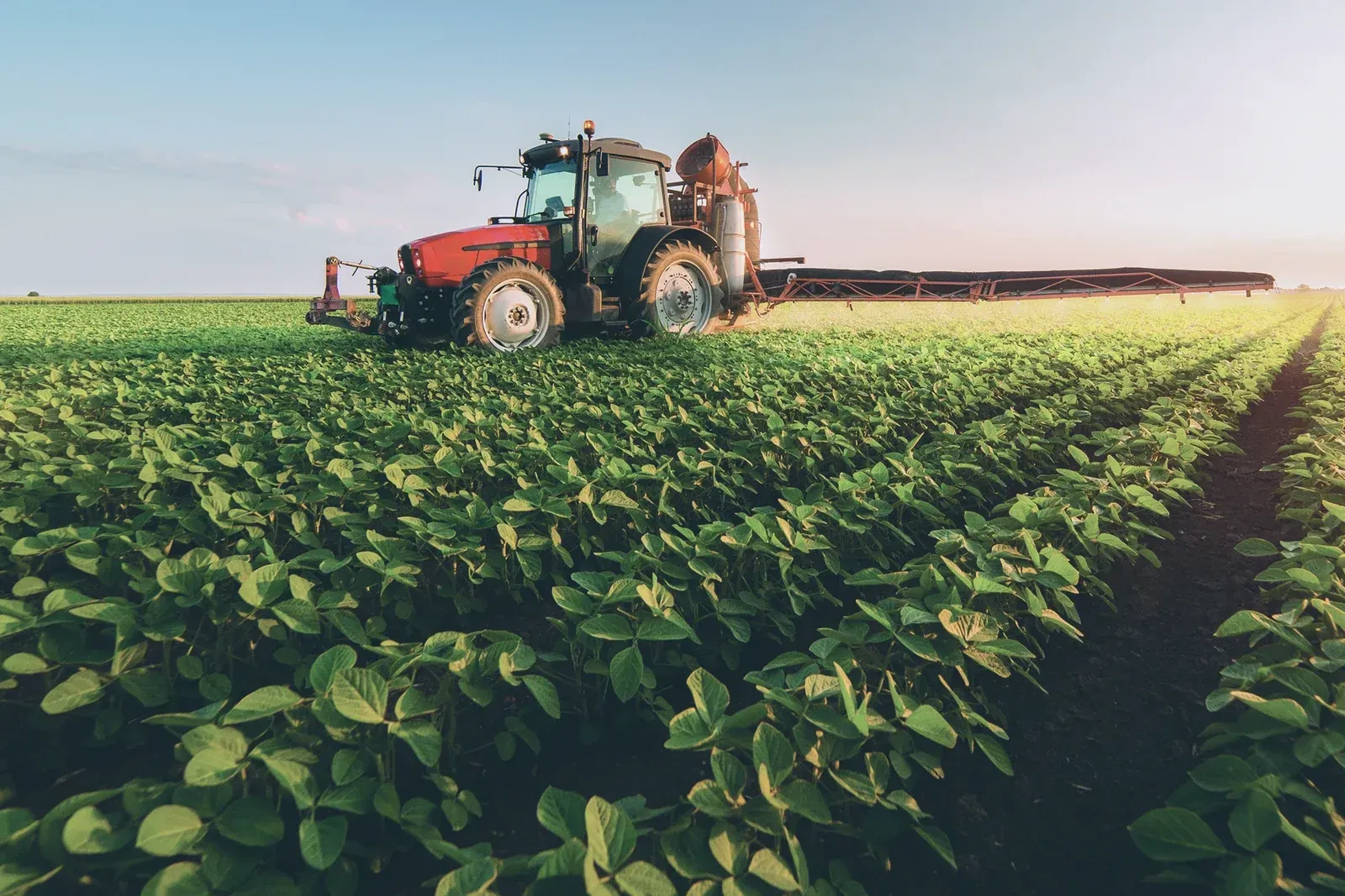 Tractor working in cultivated fields